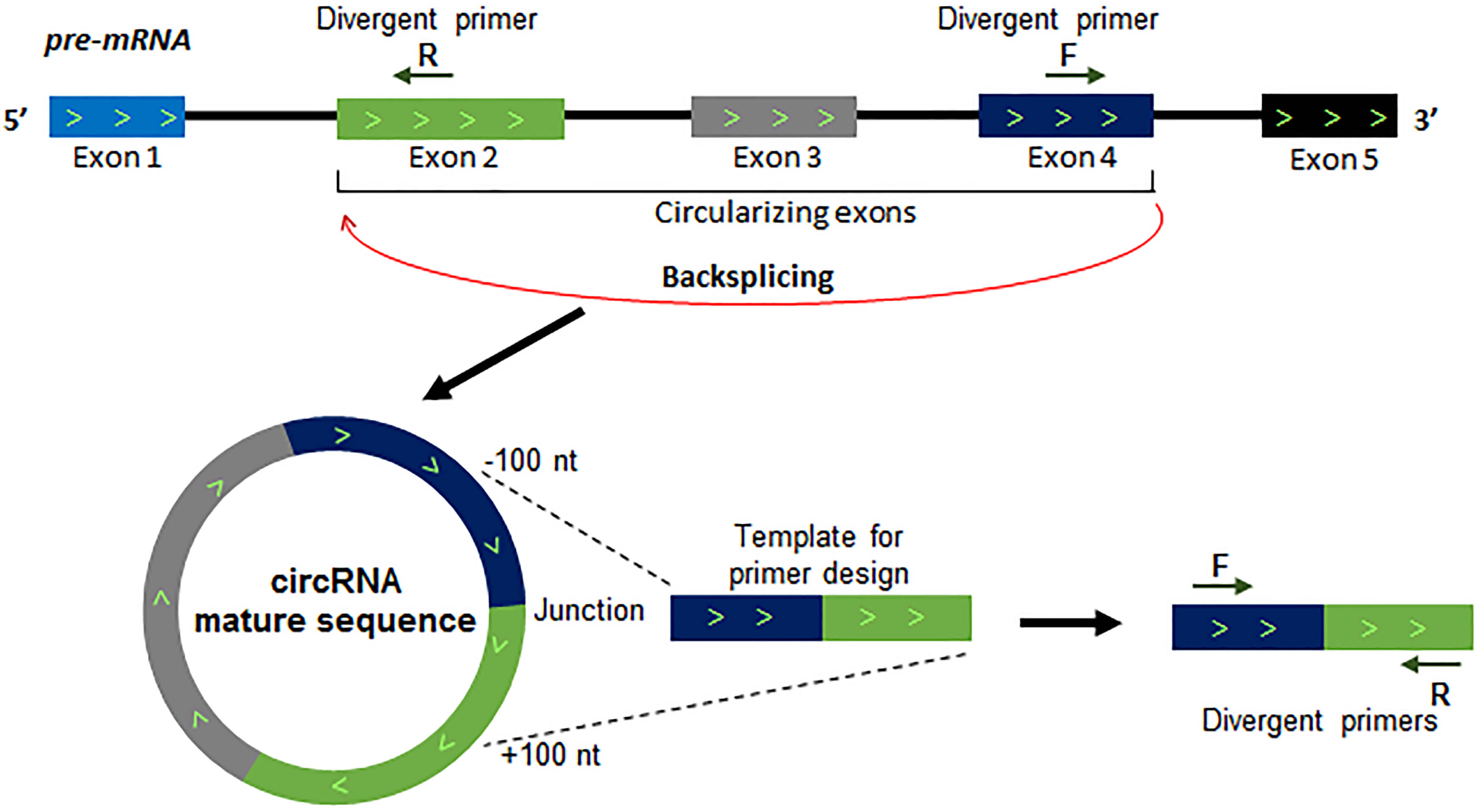 Bio Protocol Improve Research Reproducibility1