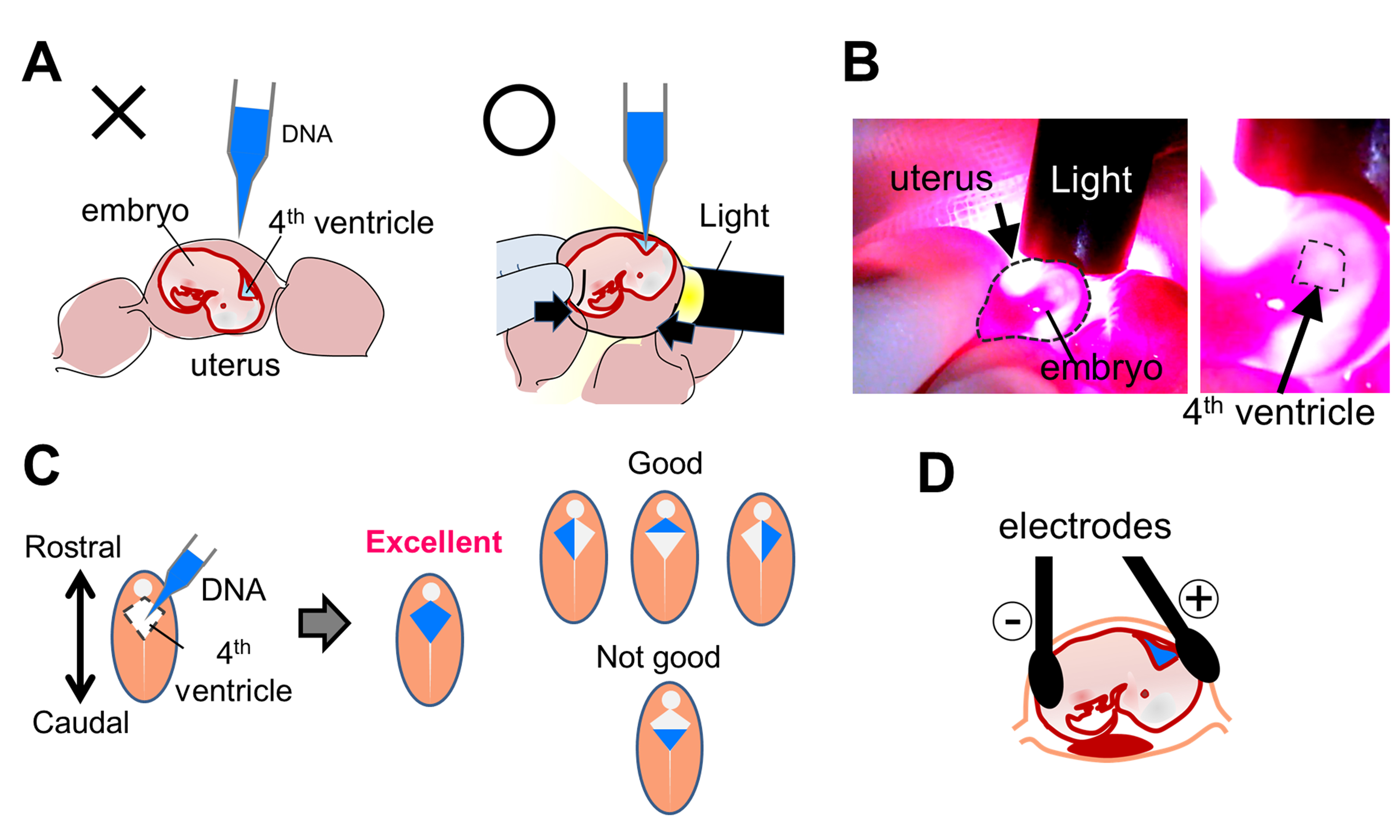 妠瓃曠-畩hb殝瑈谦y伐暘楹"7渮yl