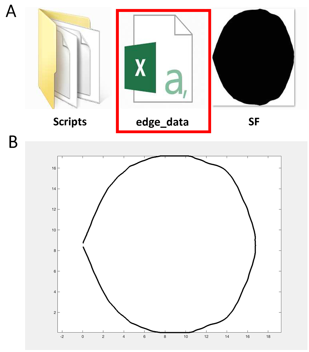 investigatingtheshapeoftheshootapicalmeristeminbamboousingasuper