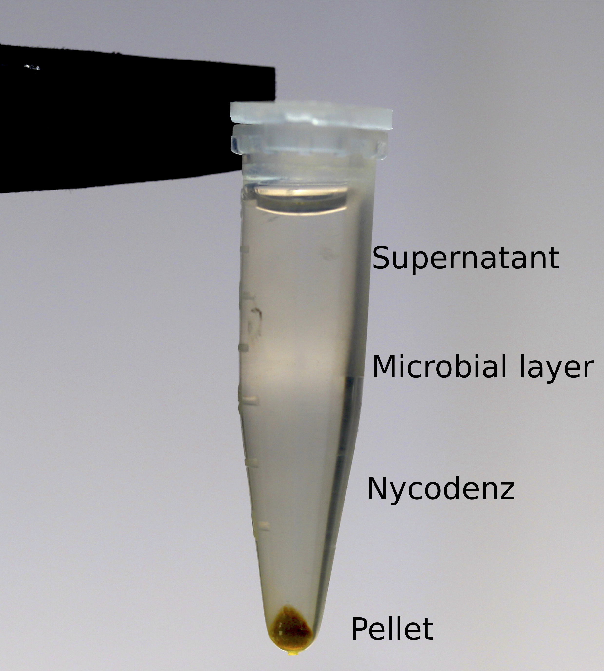 detachmentprocedureofbacteriafromatmosphericparticlesfor