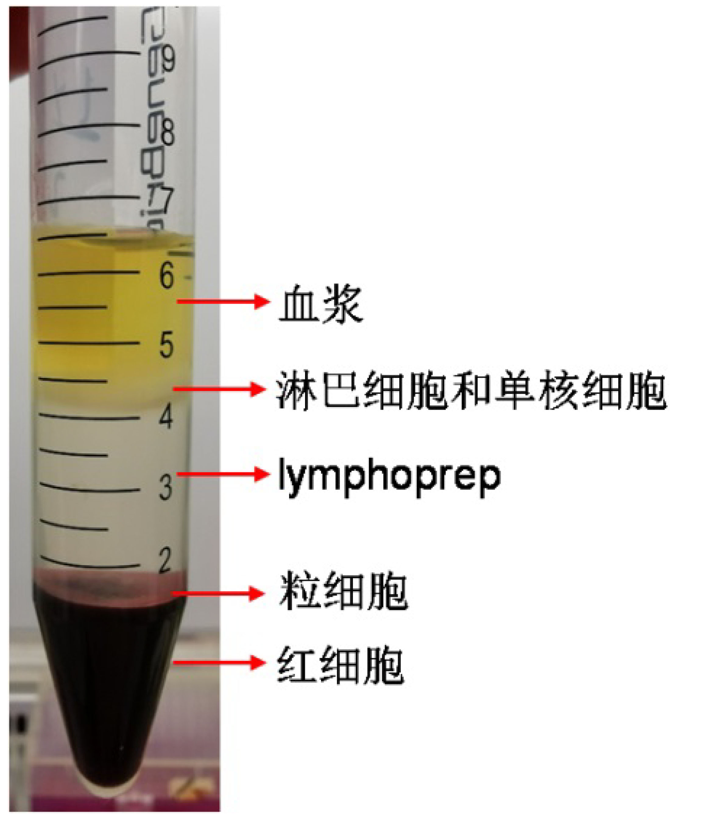 人外周血免疫细胞亚群25色流式全景分析