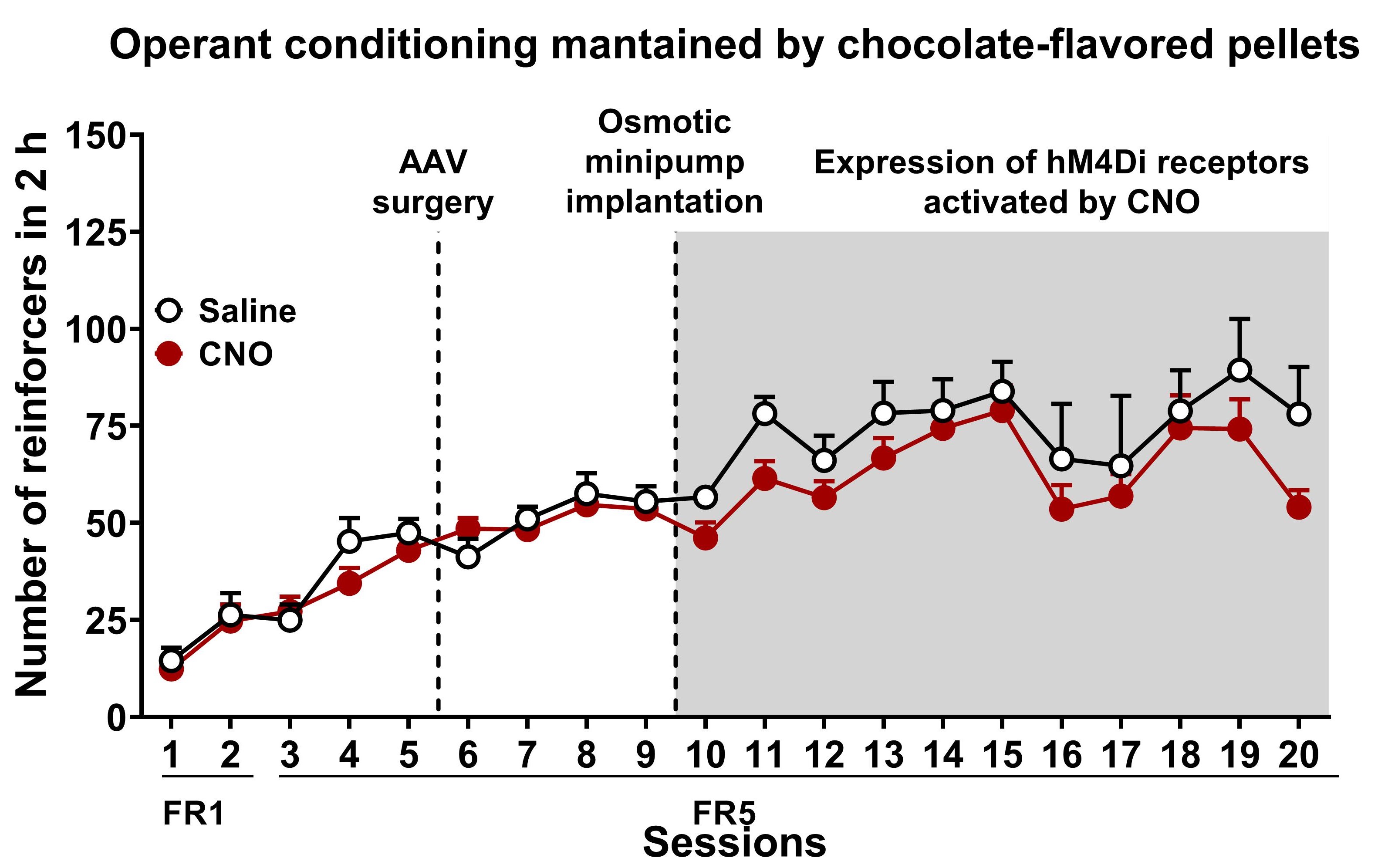 anoperantconditioningmodelcombinedwithachemogeneticapproachto