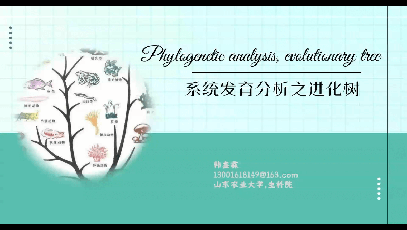 系统发育分析之进化树—BIO-101