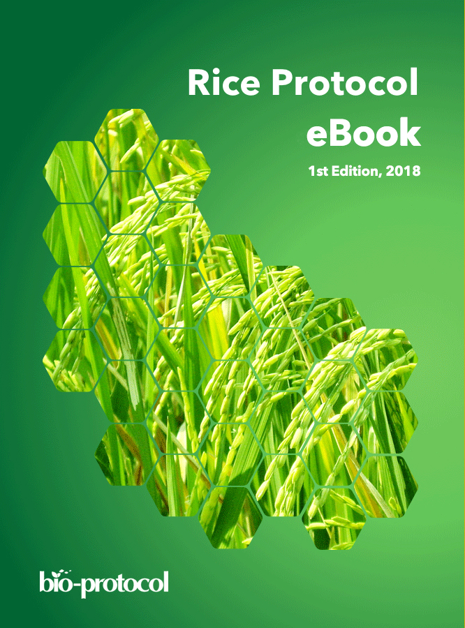 Rubicon Rice Protocol Rice Protocol eBook_Bio-protocol