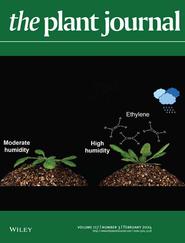 植物样本中阴离子磷脂所有分子种类与类别的同步检测及半定量新方法