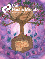 基于合成细菌群落的植物根际细菌相互作用的计算预测与体外验证