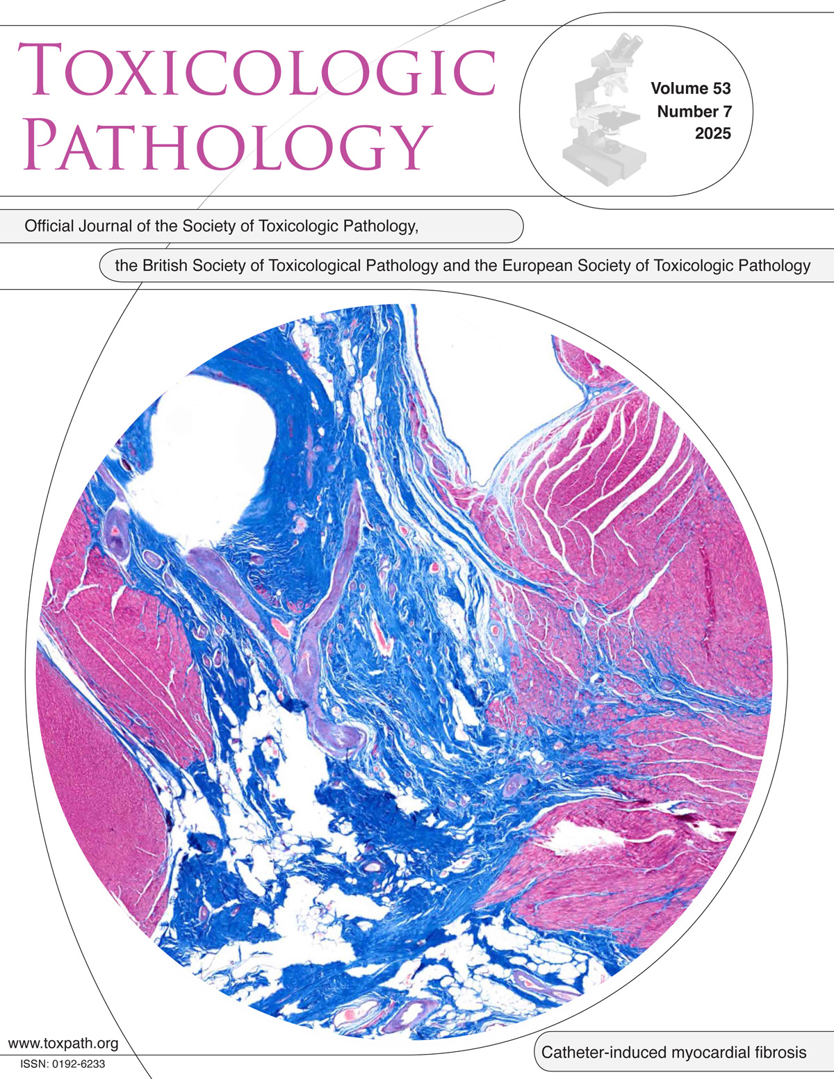 小鼠足底表皮神经纤维的定量分析：详细且简化的实验流程