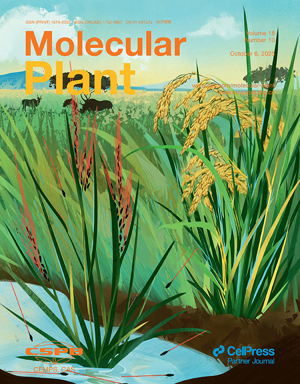 利用高效液相色谱法(HPLC)对拟南芥幼苗中原卟啉酸(Pchlide)的含量进行定量分析