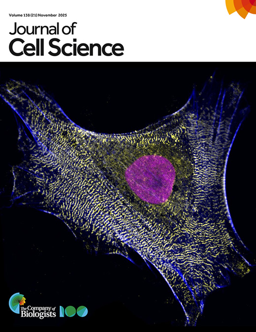利用带网格培养皿实现活细胞延时成像到免疫荧光成像的衔接观察