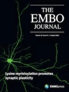 利用 APEX2 邻位标记鉴定酿酒酵母线粒体亚区室特异性蛋白质组