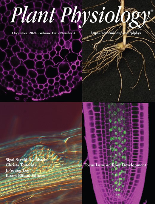 拟南芥中纤维素合酶密度与运动速度测量的可重复性分析指南