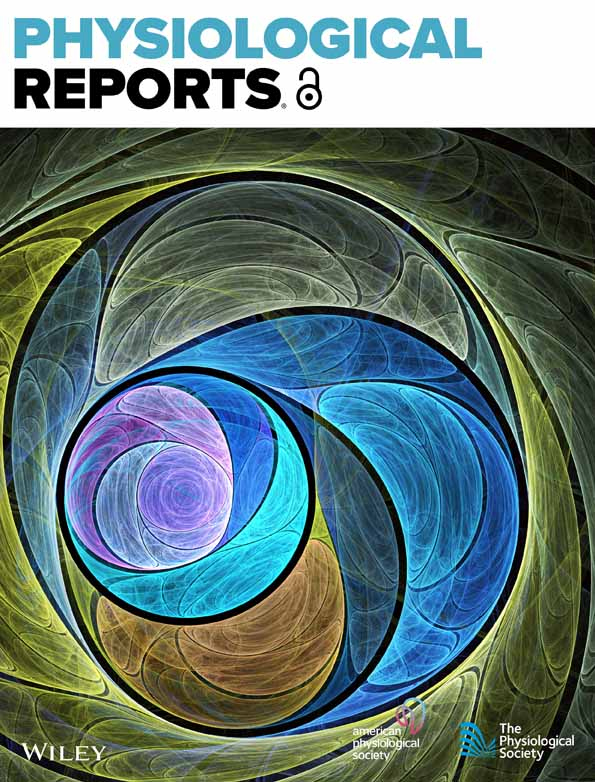 牛肌肉驻留干细胞的分离、培养与分化方法